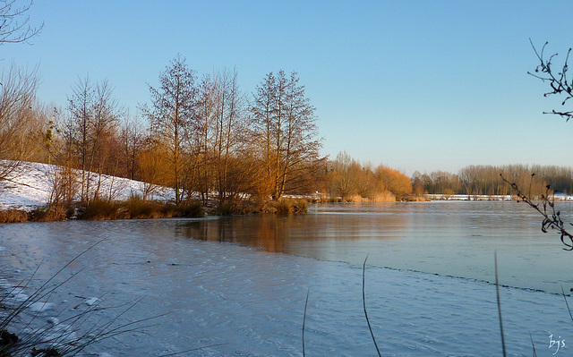 Aux couleurs de l'hiver