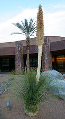 Palm Springs Convention Center (2887)