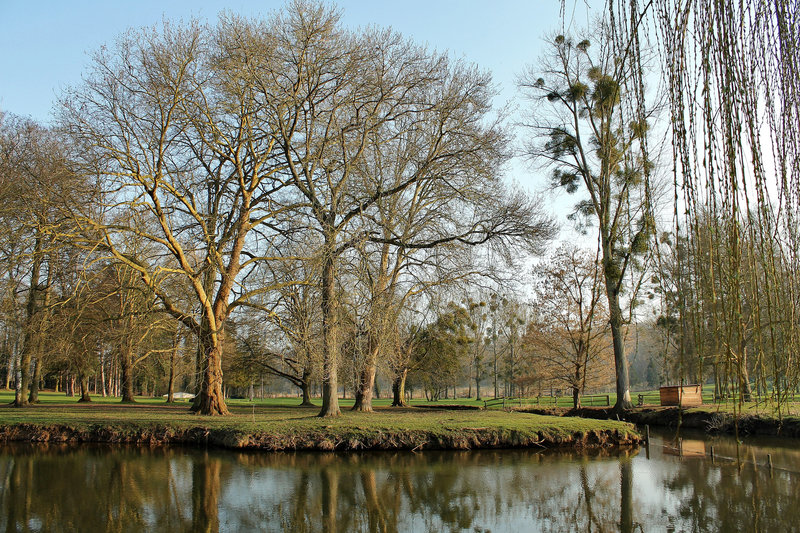 UN COIN DE VERDURE**