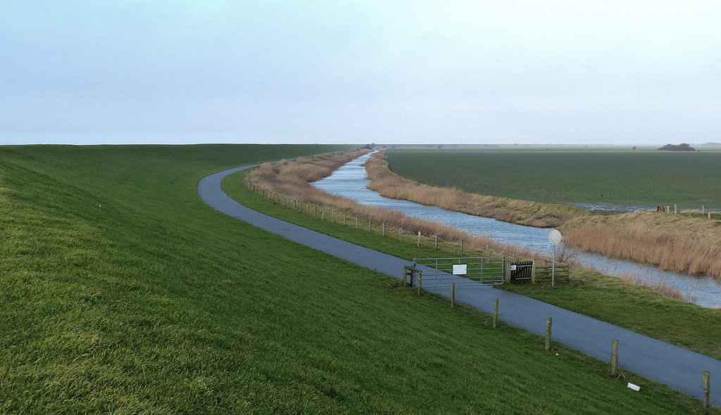 Deichlandschaft