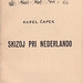 Karel Čapek - Skizoj pri Nederlando