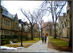 Yale