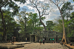 Ta Prohm the temple of the Strangler Figs