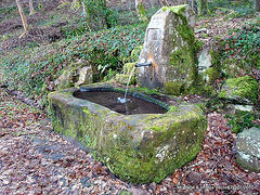 Fontaine de foret