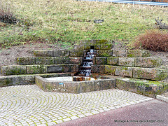 fontaine du vilage de Egenthal