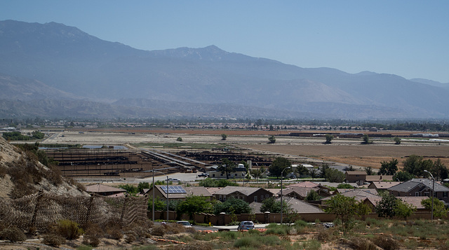 San Jacinto Valley development (& dairy) (0520)