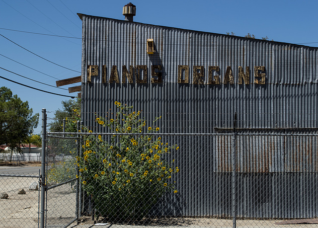 San Jacinto Music Barn (0529)