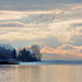 Vol de canards au lac de Neuchâtel...