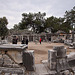 20120315 7785RWw [TR] Priene, Theater