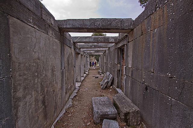 20120315 7782RWw [TR] Priene, Theater