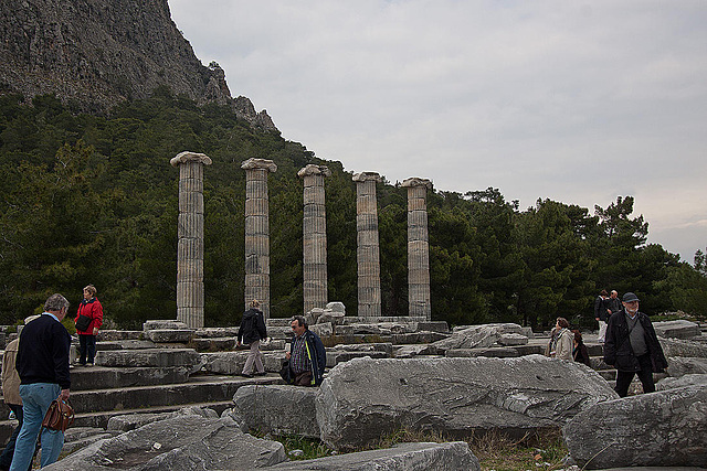 20120315 7776RWw [TR] Priene, Athena-Tempel