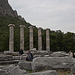 20120315 7776RWw [TR] Priene, Athena-Tempel