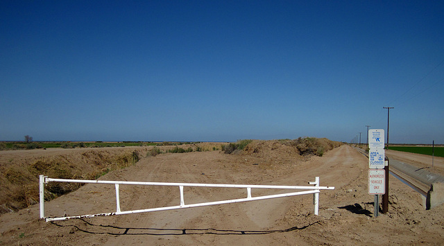 Sonny Bono NWR (1797)