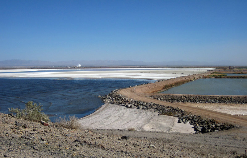 Sonny Bono NWR (1802)