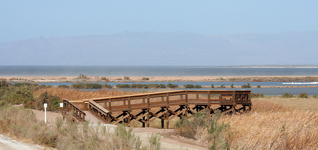 Sonny Bono NWR (2797)