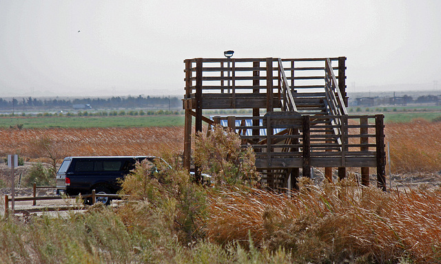 Sonny Bono NWR (2801)