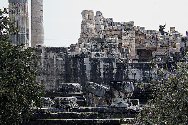 20120315 7771RAw [TR] Didyma, Apollon-Tempel