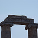 20120315 7768RAw [TR] Didyma, Apollon-Tempel