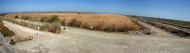 Sonny Bono NWR panorama