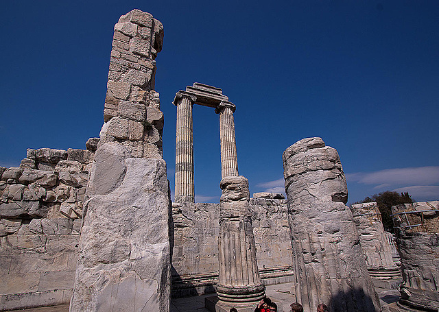 20120315 7761RWw [TR] Didyma, Apollon-Tempel