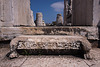 20120315 7760RWw [TR] Didyma, Apollon-Tempel