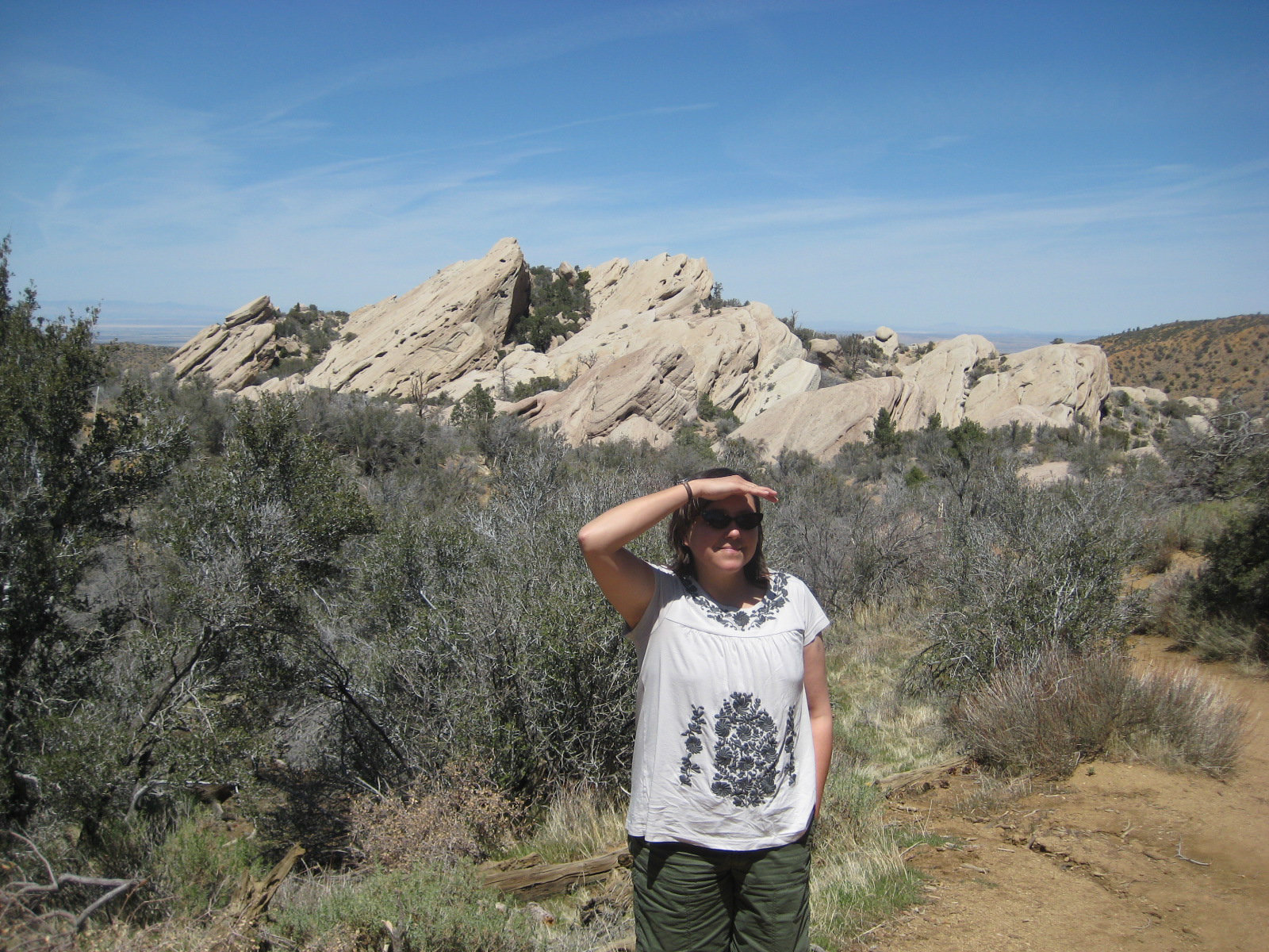 Palm Springs 05