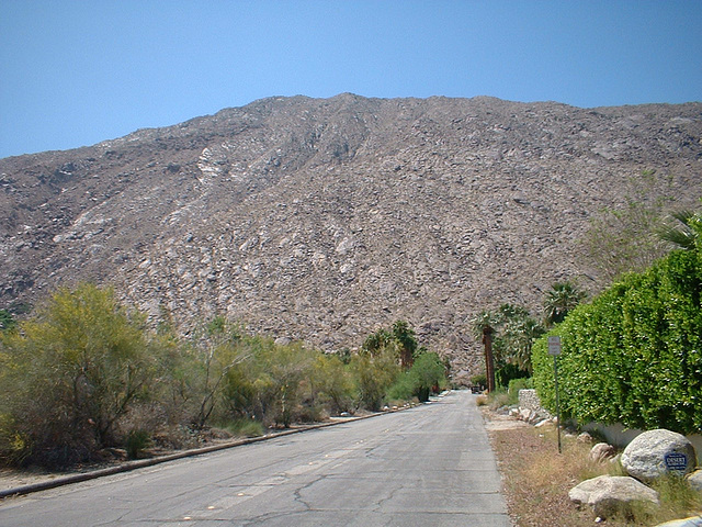 Palm Springs 19