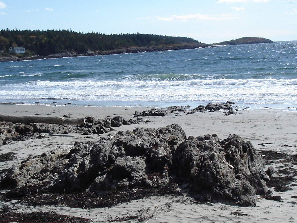 Plage et épaves d'arbres / Beach and trees wrecks - 11 octobre 2009.