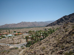 Palm Springs 21