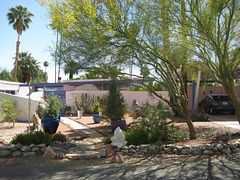 Palm Springs 42