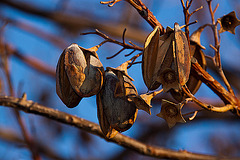 20120315 7705RASw [TR] Kusadasi