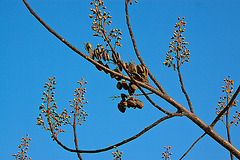 20120315 7704RAw [TR] Kusadasi