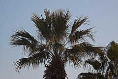 20120315 7700RAw [TR] Kusadasi