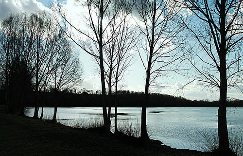L'ETANG des MARAIS
