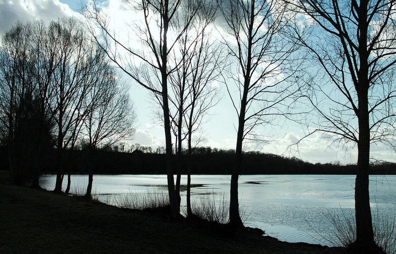 L'ETANG des MARAIS