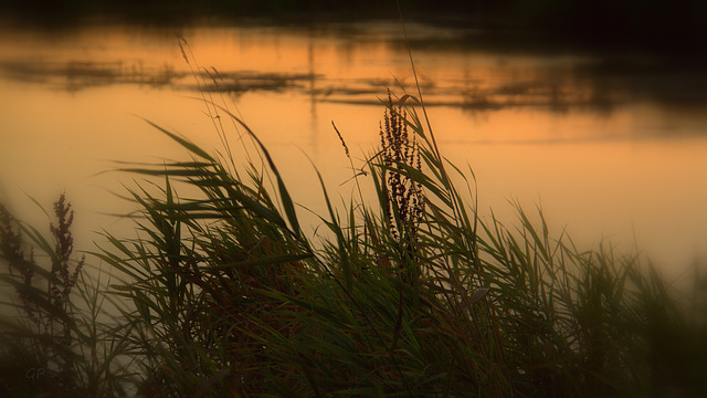 Flouté d'herbe