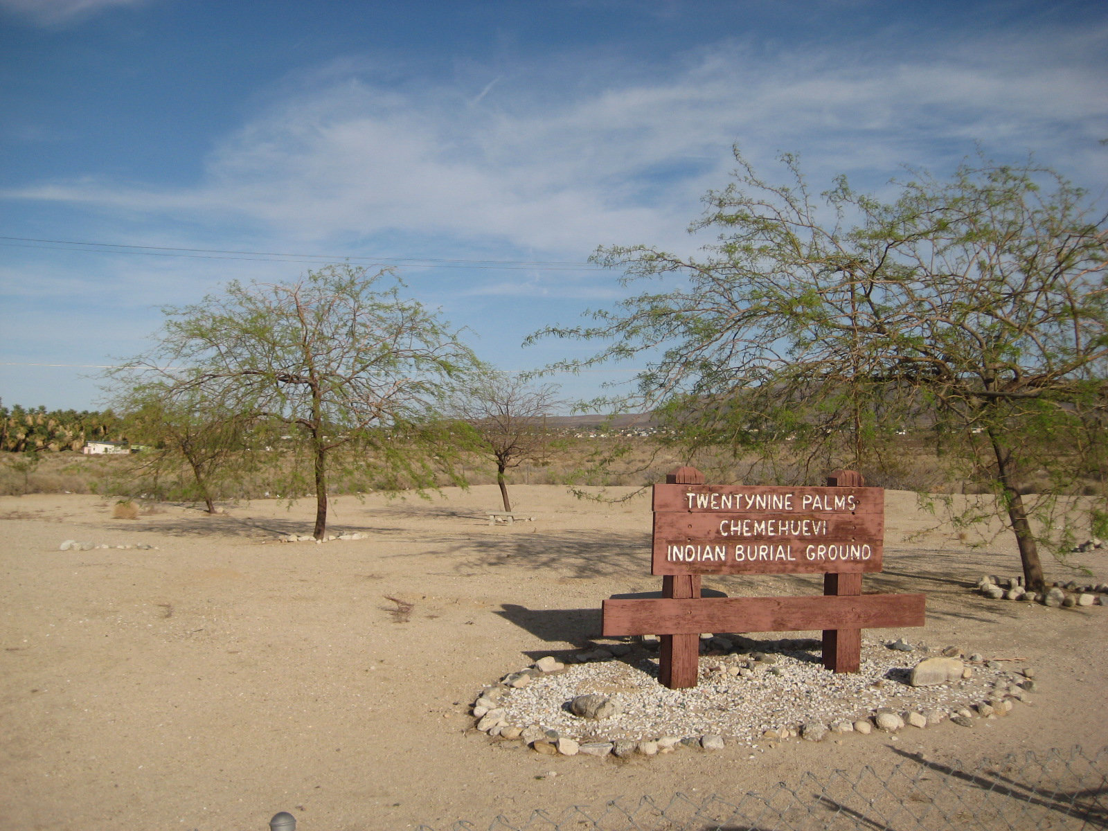 29 Palms 10