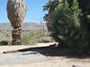 29 Palms 13