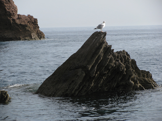 Sizilien, Liparische Inseln, Isole Eolie, Panarea