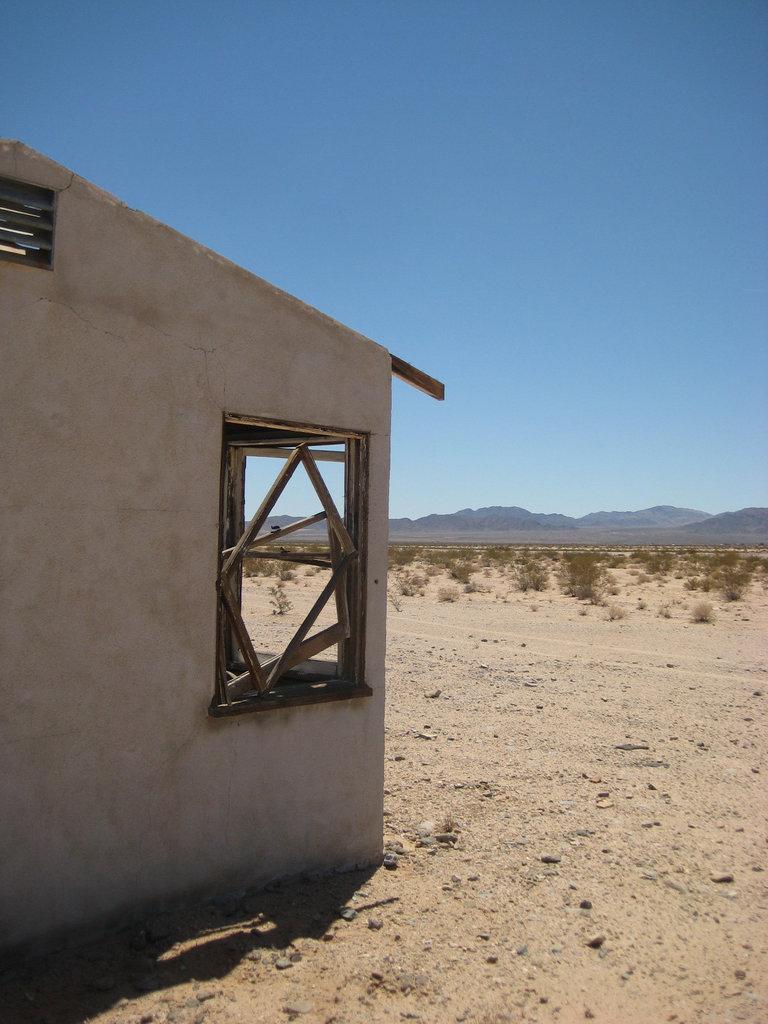 29 Palms 47