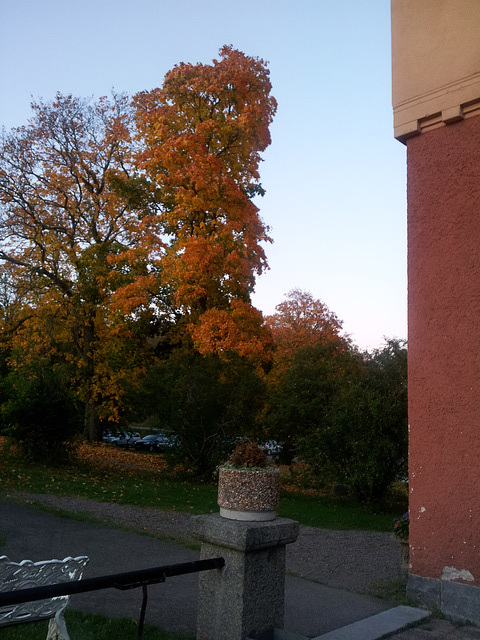 Autumn colours Autumn colours