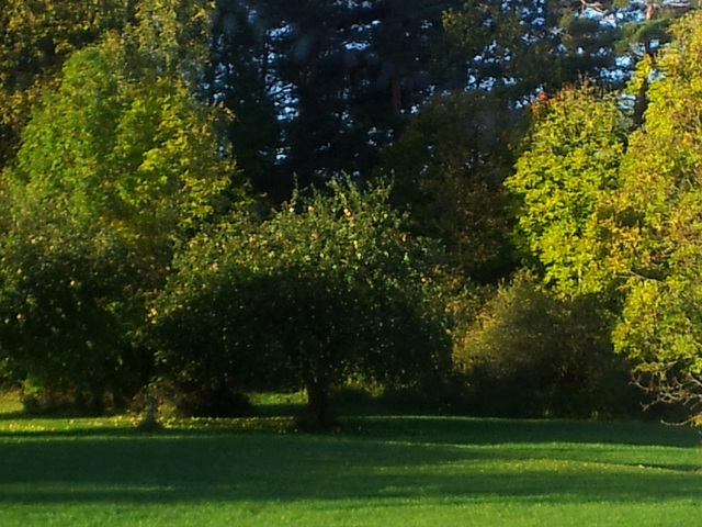 Härjarö, Sweden Härjarö, Sweden