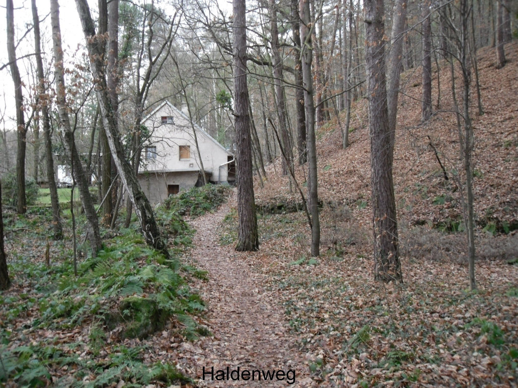 Haldenweg