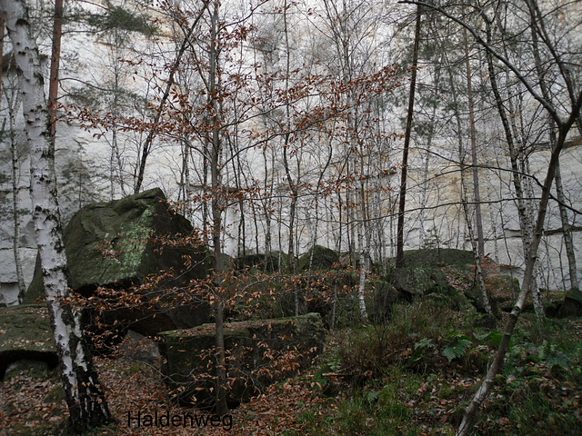 Haldenweg