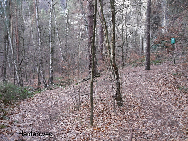 Haldenweg