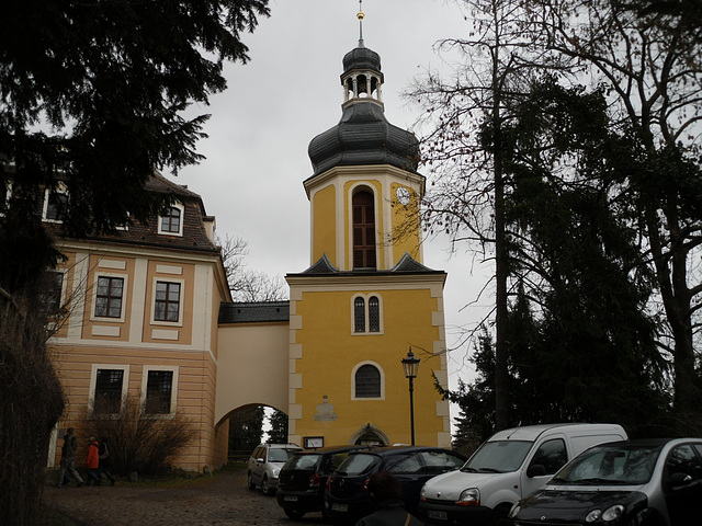 Kamelienblütenschau Zuschendorf 2012