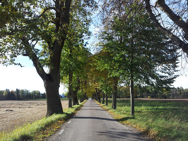 The road to the future