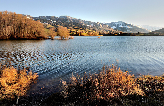 Le lac de Gruyères...