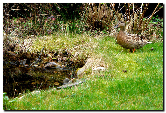 Lady G. zu Besuch