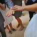 Danse de mariage / Wedding party dance